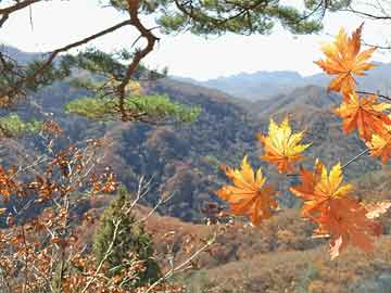 燕山大学招生网站官网,燕山大学招生网站官网首页